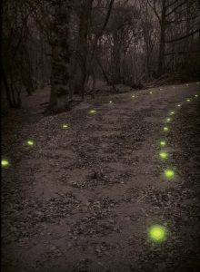 Marking the route of convoys with the green Cyalume light markers