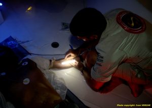 Lumière d'urgence pour acte médical : snaplight blanc 15cm