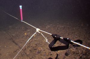 "Non-free" surface diving: marking out passages that can't be accessed from secondary lines